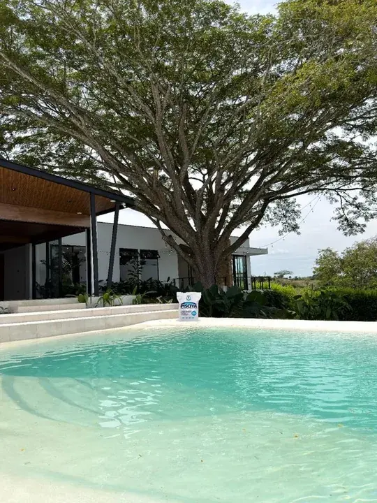 Piscina con PISCIYÁ bajo un árbol grande
